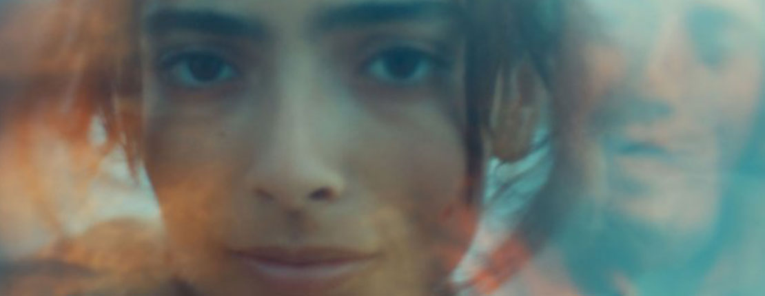 sundance standout ‘animalia’ acquired for middle east distribution by egypt’s film clinic